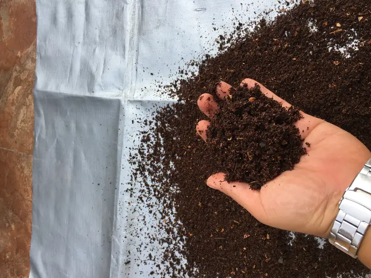 Mano sosteniendo compost maduro, oscuro y suelto