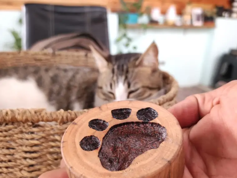 Mano sosteniendo un token de madera con la huella real de un gato grabada